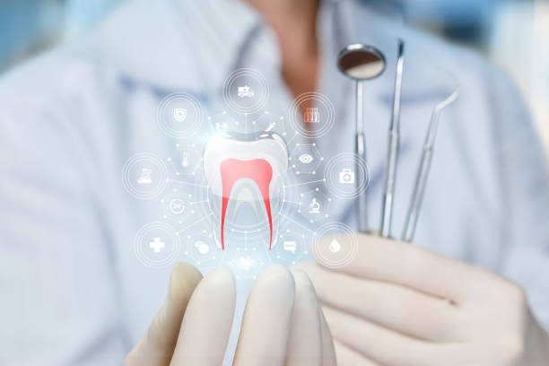 Best General Dentistry  in Cedar Grove, FL